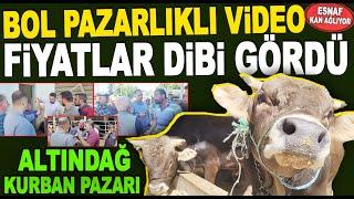 FİYATLAR DİBE VURDU! Kurban Pazarı Kurbanlık Fiyatları 2024 / Hayvan Pazarı Kurbanlık Pazarlığı 2024