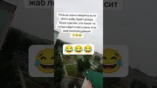 20 июня 2025 г.