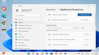 How To Install RSAT (Remote Server Administrator Tools) in Windows 11