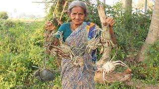 My Grandma's Village Style Crab Curry || Myna Street Food || Country Food