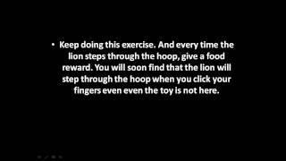 How to tame lion.mp4