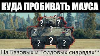 КУДА ПРОБИВАТЬ МАУСА MAUS | ЗОНЫ ПРОБИТИЯ ТАНКА MAUS НА ББ И ГОЛДЕ!