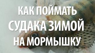 ЛОВЛЯ СУДАКА ЗИМОЙ на МОРМЫШКУ