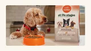 Canidae All Life Stages - Great Nutrition For Multi-Dog Families