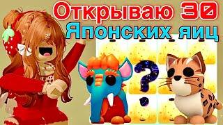 ️ЗО ЯПОНСКИХ ЯИЦ ОТКРЫВАЕМВЕЗЁТ НА ЛЕГУКОНКУРС‼️