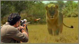 Amazing: How Do American Hunters And Farmers Deal With Million Of Wild Boar And African Lion By Guns