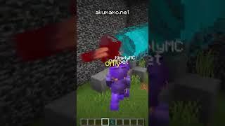 Warden Vs. Minecraft SMP