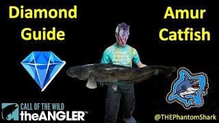 Amur Catfish Diamond Guide - Top Hotspot! - Japan Kamuibetsu Reserve Call of the Wild: The Angler