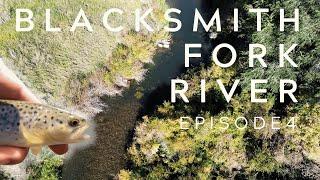 Rating Rivers Episode 4: Blacksmith Fork River (Utah Fly Fishing)