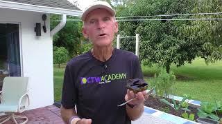 Fruitarian Explains Why Fruit Is The Number One Food Why We Need To Eat Fruit Daily Healthy Living