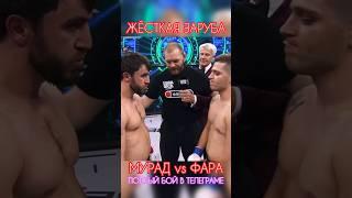 ЧИСТО ПАЦАНСКАЯ ДРАКАФАРИД ЯДУЛЛАЕВ vs МУРАД ЛЕГЕНДА #shorts #popmma #mma