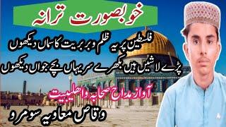 Waqas Muavia Soomro#Falas 3 par Zulam sitam ka Saman dekhon