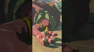 BotW's Best Feature returns in Tears of the Kingdom