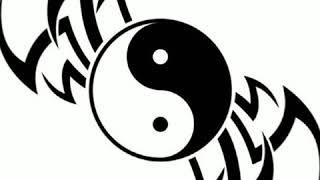 ~Yin-Yang~