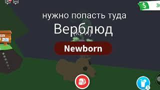 секретные места в адопт ми!как попасть в вип комнату бесплатно ? как найти старое яйцо? ответы тут!!