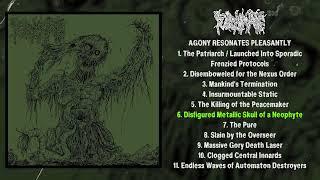 Fulminate - Agony Resonates Pleasantly FULL ALBUM (2023 - Goregrind)