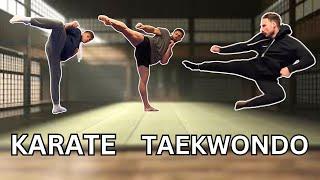 TAEKWONDO vs KARATE | Comparing kicks