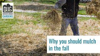 Why you should mulch in your fall garden