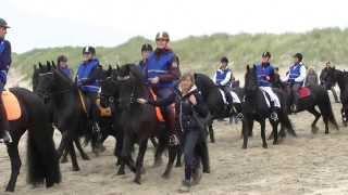 Mega strandrit Friese paarden 2013