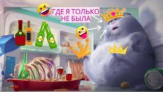 ФАНТАЗИИ ЦАРИЦЫ РОСТОВСКИХ СТЕПЕЙ ОБЗОР НА КАНАЛ КИСА ЧЕЧНЯ