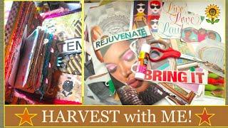 Let's HARVEST magazine IMAGES for Glue Books, Journals, and Mixed Media! #gluebook #gluebooks