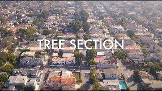 Manhattan Beach Real Estate | Tree Section Area Tour