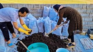 Growing zero to one hundred button mushrooms in a wonderful village