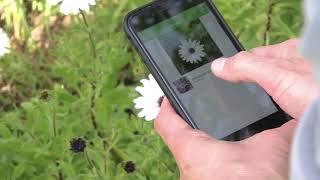 Plantsnap app promo video