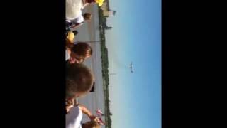 Harrier over the Mississippi river