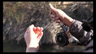 How to Get Your Flies Out of Trees