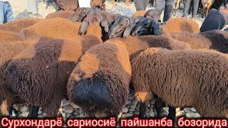 САРИОСИЁ ПАЙШАНБА БОЗОРИДА КУ́ЗИ НАРХЛАРИ БИРОЗ ТУШДИ