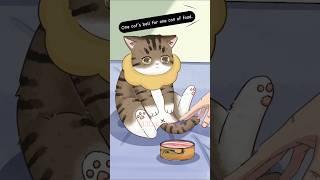 1 Cat's Bell For 1 Can of Food #cat #animation #shorts