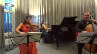 Aida-Carmen Soanea, Romain Garioud, Yeon-Min Park: Chopin - Trio g-min. op.8 III