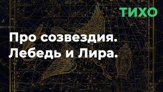 Про созвездия. Лебедь и Лира. | Тихая речь | Перед сном