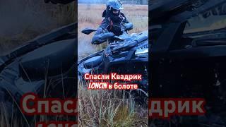 Ковровое болото рвётся #квадроцикл #atv #offroad