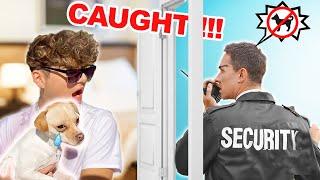 Sneaking DOG Into Vegas & getting CAUGHT BY COPS!