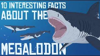 10 Interesting Facts about the MEGALODON