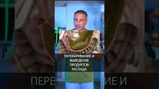 Как ускорить метаболизм и быстро похудеть #диета #пп