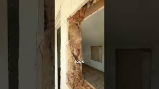 INSIDE THE OLD AMERICAN HOUSE 