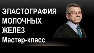 Эластография молочных желез. Мастер класс на конференции в Калининграде 27.11.2018 г.