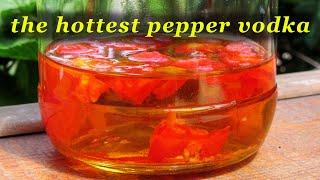the HOTTEST pepper vodka made from the hottest peppers in the world - Carolina Reaper
