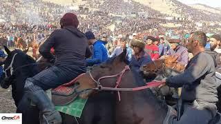 Kupkari (Uloq, Bozkashi) - Central Asia traditional played on horseback game. Kupkari in Uzbekistan