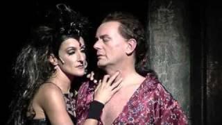 Kuss der Spinnenfrau - Musiktheater - Theater Dortmund