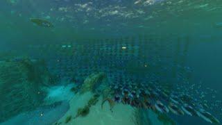 Making A Seamoth Every Day Until Subnautica 2: Day 449