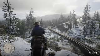 RED DEAD REDEMPTION 2 #5