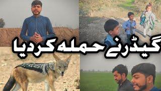 mgea aip ka sport ke zoruta ha( jameel  pendu )#viral #village #dailyvlog #villagelifestyle #vlog