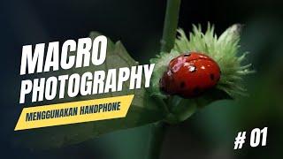 Macro Photography bagi pemula menggunakan HP