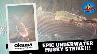 Epic Underwater Footage Musky Follow and Strike! #fishing #bassfishing #musky