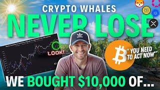 Whales NEVER Lose: The BEST Is Yet To Come! (We Bought $10k Of...)