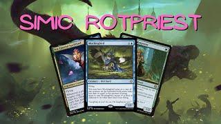 Simic Rotpriest | Magic The Gathering | Bloomburrow | MTG Pioneer